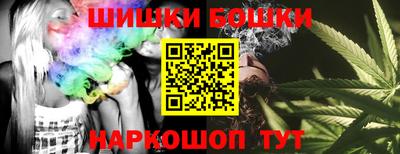 стаф Кингисепп