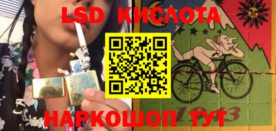 стаф Кингисепп