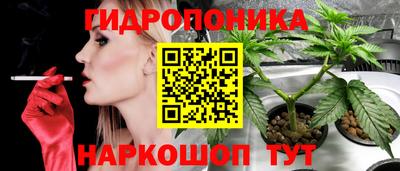 jwh Бугуруслан