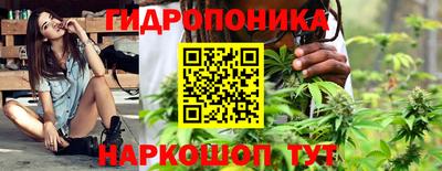 Альфа ПВП Кинель
