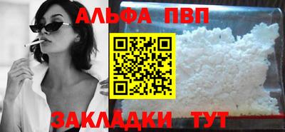 стаф Кингисепп