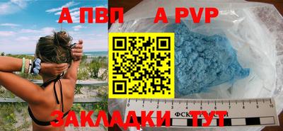 стаф Кингисепп
