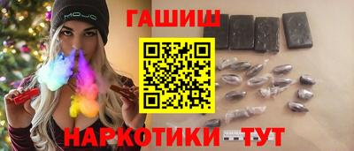 стаф Кингисепп
