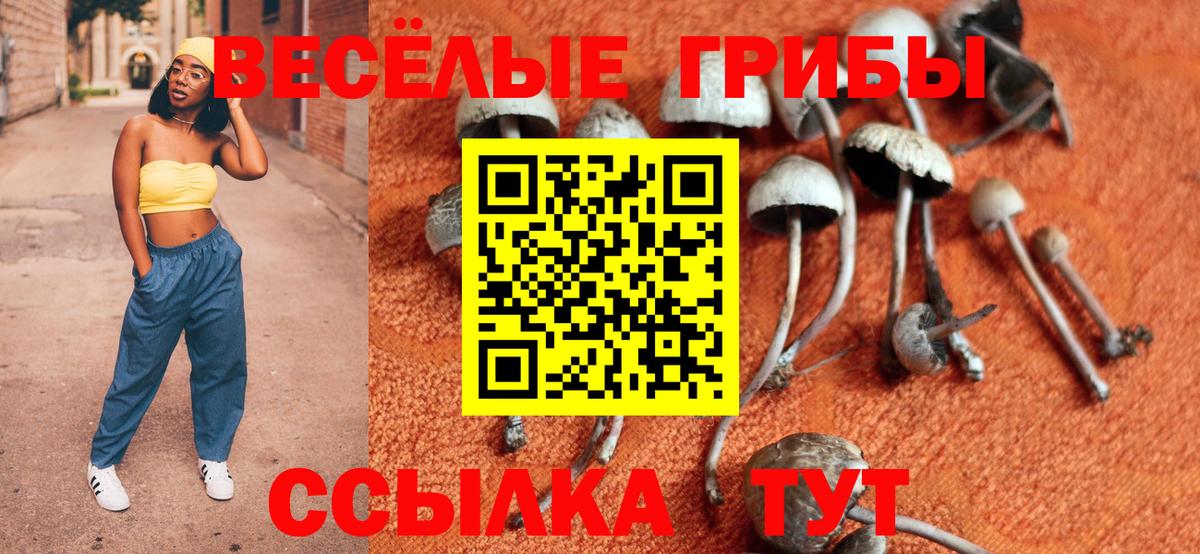 Псилоцибиновые грибы мицелий Канаш