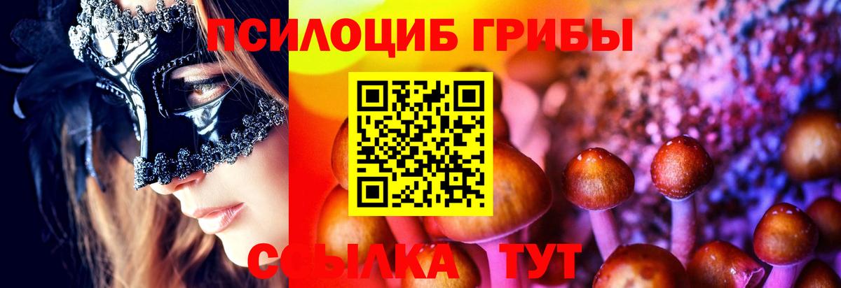 Галлюциногенные грибы мицелий  Вход с VPN  Псилоцибиновые грибы мухоморы  Канаш 
